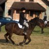 Hubertus 2006